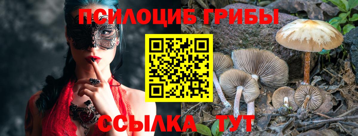 Каменск-Шахтинский  Галлюциногенные грибы Magic Shrooms  Вход с VPN 