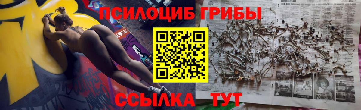 Псилоцибиновые грибы ЛСД Каменск-Шахтинский